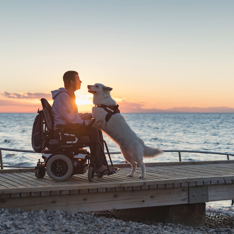 Handicap, soins palliatifs, une histoire de deuils…